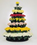 706 tree rack with mums