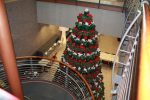 airport decor indoor plant