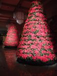 poinsettia tree rack