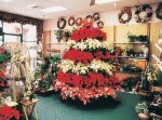 decorative plant merchandising displays