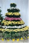 mum tree display