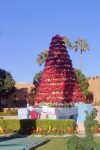 tree rack at resort