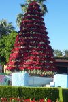 tree rack outdoor