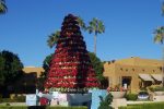 tree at resort