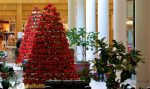 holiday flower display for stores
