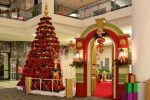 poinsettia rack in mall