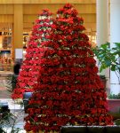 holiday display tree in mall