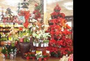 retail potted plant displays