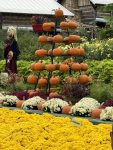 Pumpkin Tree Rack